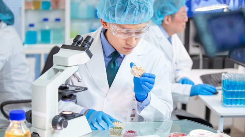IVF egg donation India cost BY morningsun